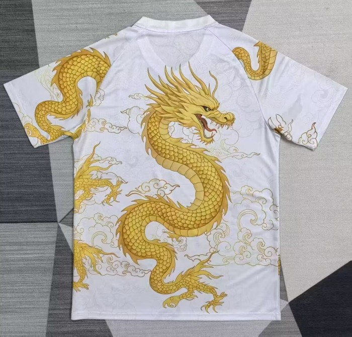 25-26 Porto Special Edition Fans Soccer Jersey