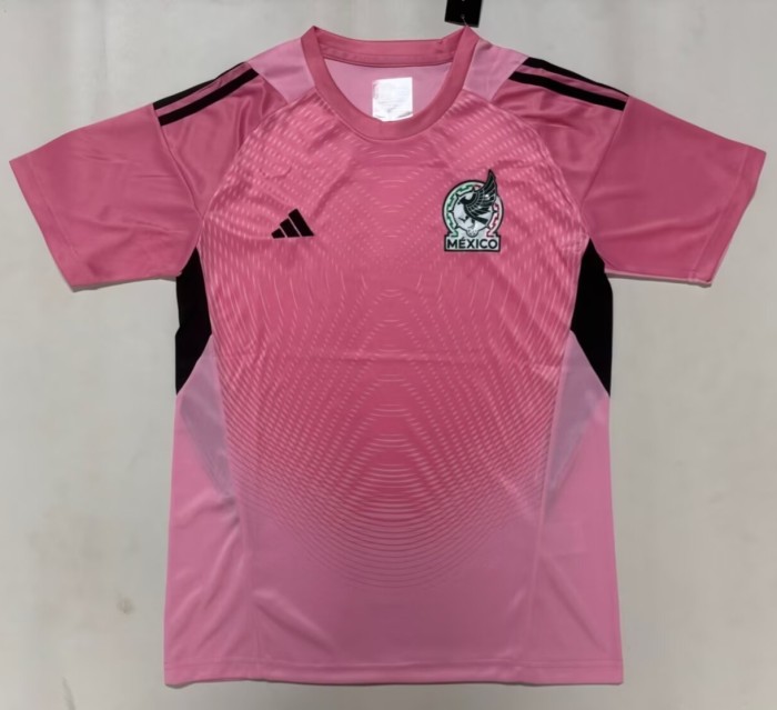 2026 Mexico Pink Goalkeeper Fans Soccer Jersey