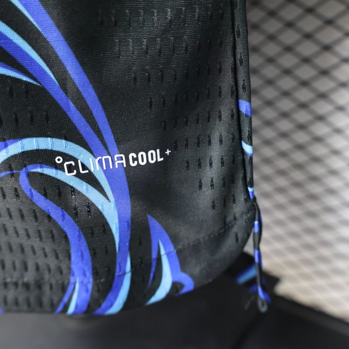 2026 World Cup Argentina Away Long Sleeve Player Version Soccer Jersey*长袖球员