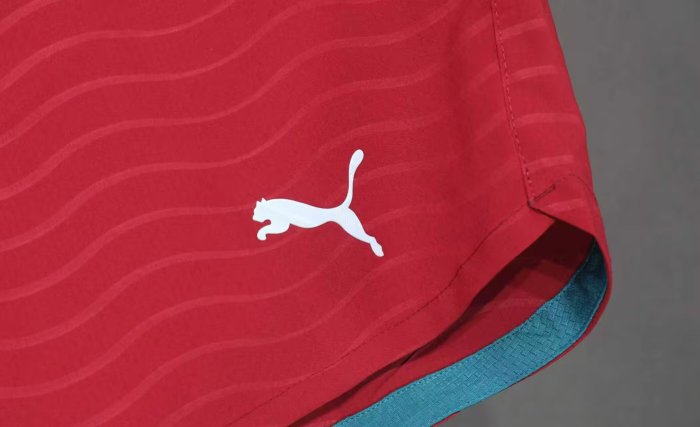 2026 Portugal Home Player Version Shorts Pants (球员短裤)