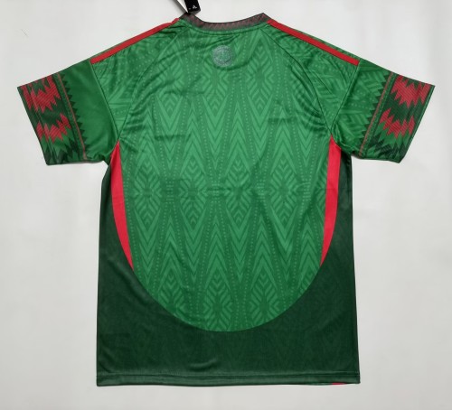 26-27 Mexico White Special Edition Fans Training shirts