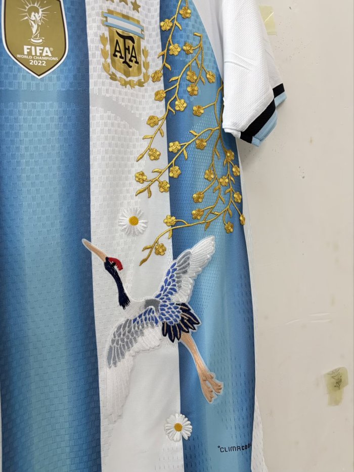 2026 Argentina Embroidered Version Soccer Jersey