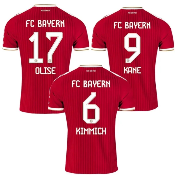 26-27 Bayern Leaked Edition Home Fans Soccer Jersey