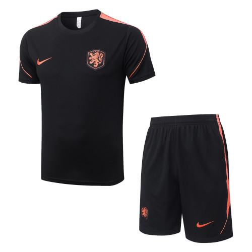 26-27  NetherIands High Quality Training Short Suit