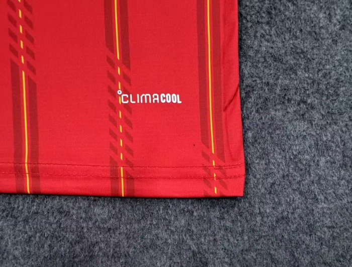 2026 World Cup Spain Home Fans Soccer Jersey (With 2 Star)*两颗星