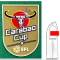 Carabao Cup 9 +OKX (卡拉宝9冠+左袖广告)