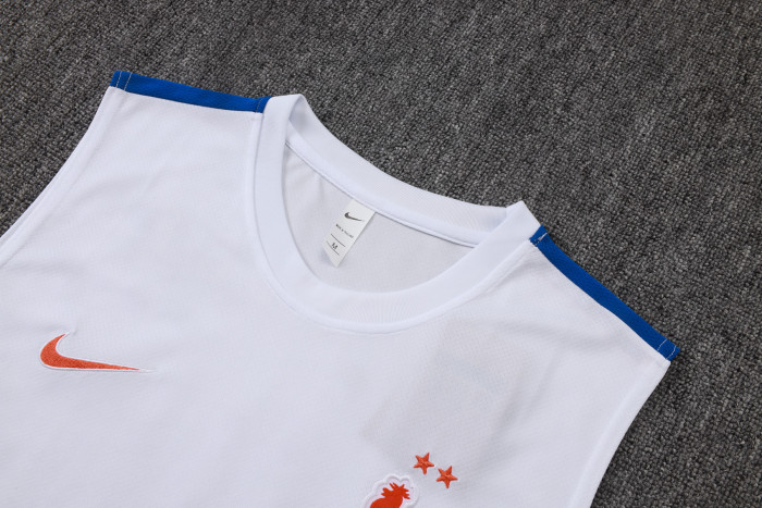 26-27 France High Quality Tank Top And Shorts Suit
