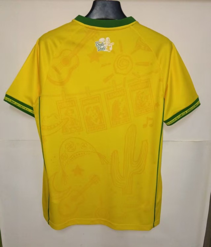 26-27 BaHia Special Edition Fans Soccer Jersey