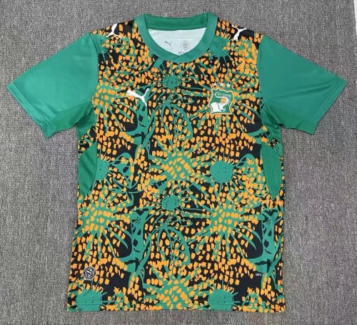 26-27 Cote d'Ivoire Green Special Edition Fans Soccer Jersey