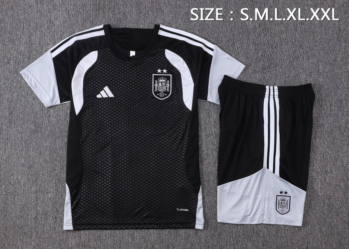 26-27 Spain High Quality Training Short Suit (With 2 Star)*两颗星
