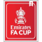 FA CUP (英足总杯2次)