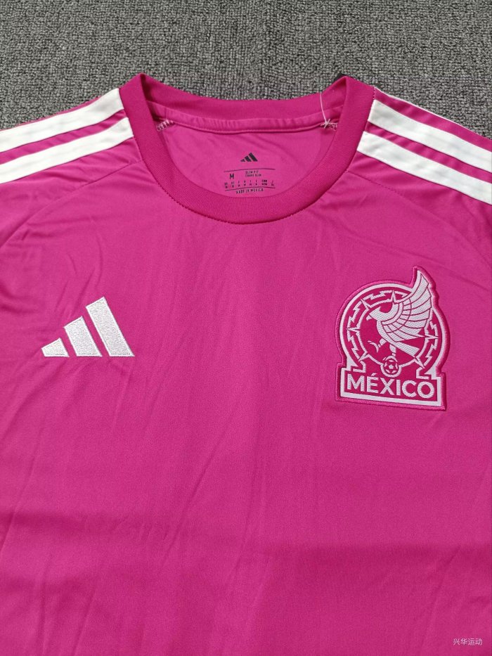 25-26 Mexico Goalkeeper Long Sleeve Fans Soccer Jersey (长袖)