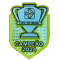 CAMPEAO2024 (巴西杯冠)胸前