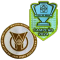 Brasileirao A2025 +CAMPEAO2024 (巴西杯冠+巴甲)