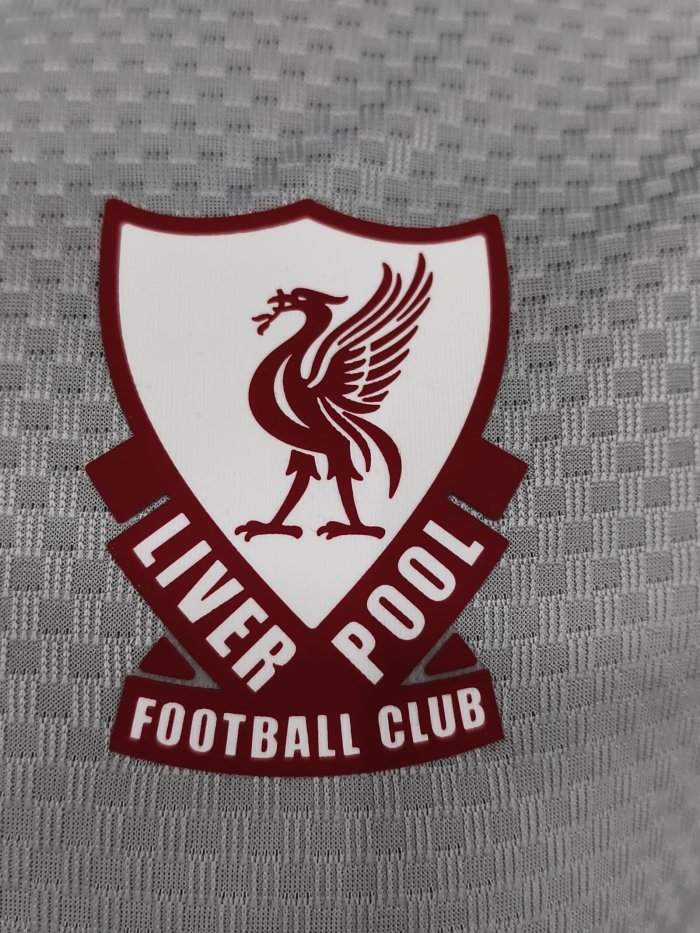 26-27 LIV Grey Player Version Training Shirts