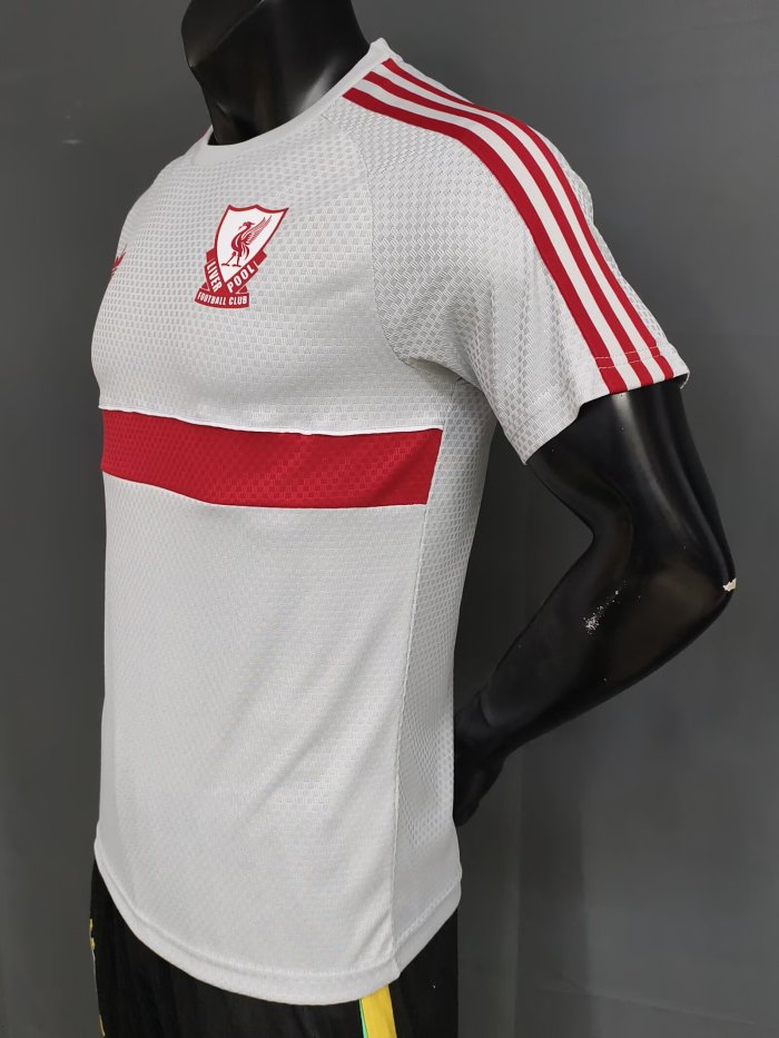 26-27 LIV Grey Player Version Training Shirts