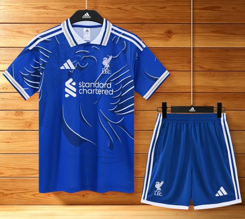 26-27  LIV High Quality Training Short Suit