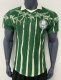 24-25 Palmeiras Special Edition Player Version Soccer Jersey