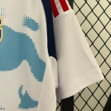 24-25 Costa Rica Away Fans Soccer Jersey