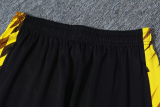 24-25 Dortmund Yellow Training Short Suit