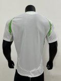 24-25 Algeria Home Player Version Soccer Jersey