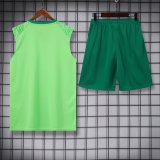 24-25 Palmeiras High quality Tank Top And Shorts Suit