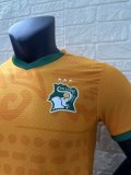 24-25 Cote d'Ivoire Home Player Soccer Jersey