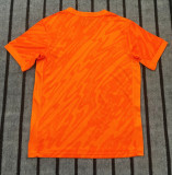 2024 Englande Europe Cup Fans Training Soccer Jersey