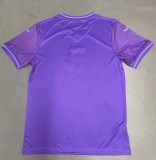 24-25 Anderlecht Home Fans Soccer Jersey
