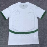 24-25 Senegal White Special Edition Fans Soccer Jersey