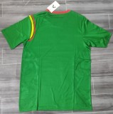 24-25 Cameroon Home Fans Soccer Jersey