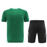 2024 AD Green Training Short Suit