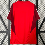 24-25 Internacional Red Training shirts