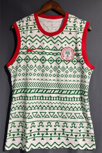 23-24 Nigeria Fans Soccer Jersey