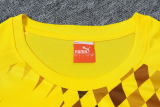 24-25 Dortmund Yellow Training Short Suit