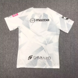 24-25 Sanfrecce Hiroshima Away Fans Soccer Jersey 广岛三箭