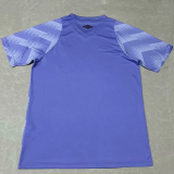 24-25 Fluminense Purple Blue GoalKeeper Soccer Jersey