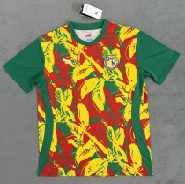 24-25 Senegal Special Edition Fans Version Soccer Jersey