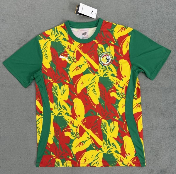 24-25 Senegal Special Edition Fans Version Soccer Jersey