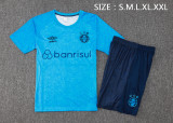 24-25 Gremio High Quality Training Short Suit