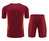 23-24 Man Utd High Quality Training Short Suit