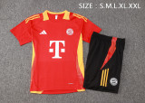 24-25 Bayern High Quality Training Short Suit