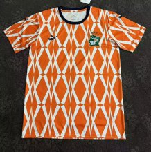 23-24 Cote d'Ivoire Special Edition Fans Version Soccer Jersey