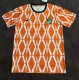 23-24 Cote d'Ivoire Special Edition Fans Version Soccer Jersey
