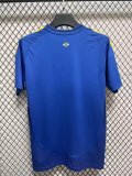 24-25 Brazil Special Edition Fans Soccer Jersey