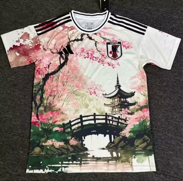 24-25 Japan Special Edition Fans Version Soccer Jersey