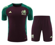 24-25 Mexico High Quality Training Short Suit
