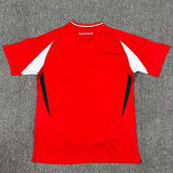 2024 Hungary European Cup Home Fans Version Soccer Jersey