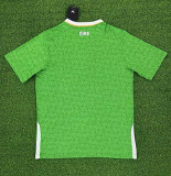 2024 Ireland Home Fans Soccer Jersey
