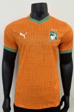 24-25 Cote d'Ivoire Home Players Version Soccer Jersey